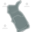 Redwell Dash Grip